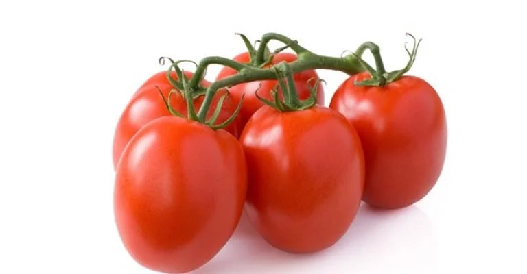 FarmIntegral tomato farming